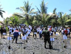 Yayasan MAERO Indonesia-PT Pertamina Patra Niaga Tanam Mangrove di Sulteng