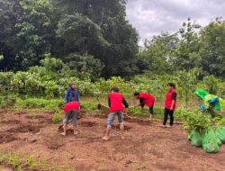 Penyuluhan Pola Jarak Tanam Pohon oleh KKN 113 Unhas di Kabupaten Gowa