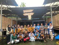 Ini Lima Tips drh. Una Jika ternak Terinfeksi PMK