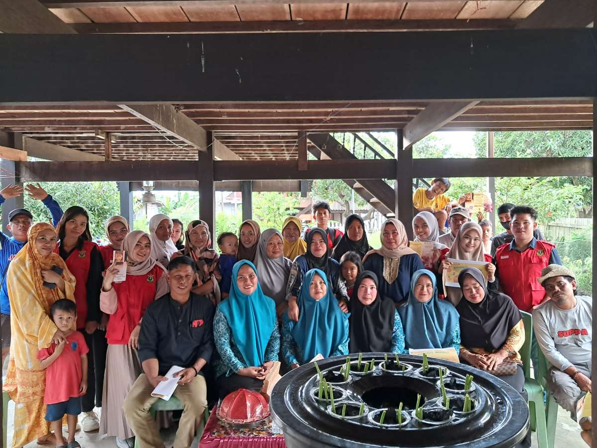 Akuaponik dalam ember