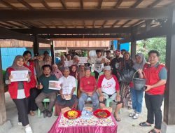 Mahasiswa Unhas Buat Pupuk Organik Cair dari Batang Pisang