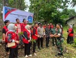 Mahasiswa KKNT Gel.113 Unhas Kel. Lapadde Berdayakan Lahan Tidur untuk Ruang Terbuka Hijau
