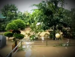 Waspada Banjir dan Pohon Tumbang, Sulsel Diprediksi Hujan Lebat dan Angin Kencang Selama 3 Hari