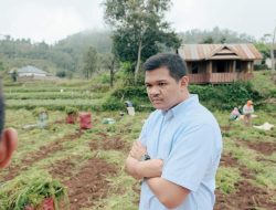 Balai Benih Era Nurdin Abdullah Yang Terbengkalai Siap Direvitalisasi Uji Nurdin