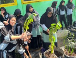 SMAN 2 Enrekang Menanam Pohon Produktif di Polibag