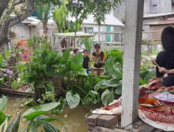 Menikmati “Hidden Garden” KWT Permata Hijau