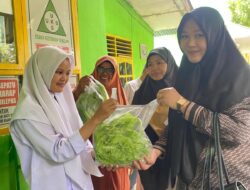 Penjualan Sayuran Hidroponik Sumber Dana Kreatif OSIS SMAN 2 Enrekang