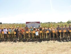 Kapolres Bulukumba Panen Jagung Serentak di Kecamatan Gantarang