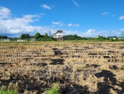 Paket Stimulus Pertumbuhan