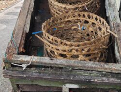 Revisi Kemiskinan Global