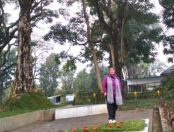 Malino, Spathodea, dan Cerita Lainnya  