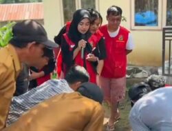 Budidaya Maggot: Solusi Ramah Lingkungan untuk Mengolah Sampah Organik