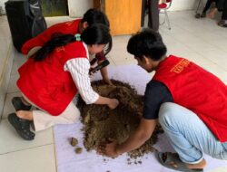 Mahasiswa KKN Unhas di Malangke Barat Perkenalan TOGA