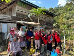 Mahasiswa KKNT Unhas Gelar Program Pemanfaatan Pekarangan Rumah untuk Ketahanan Pangan Keluarga