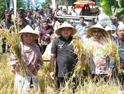 Wali Kota Makassar Ajak Warga Turun ke Sawah