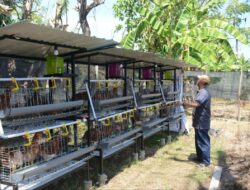 Makassar Luncurkan Program Ekonomi Hijau Terpadu di Tanjung Merdeka