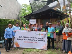 Rumah Zakat Salurkan Bantuan Usaha Ternak Ayam untuk Kelompok Ternak Kampung Zakat Malewang