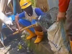 DPU Makassar Kerahkan 321 Satgas Drainase Antisipasi Banjir