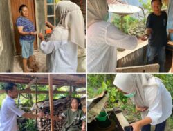 Puskesmas Sinoa Lakukan Survei Vektor dan Larvasidasi di Desa Bonto Bulaeng