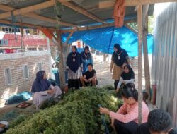 Puskesmas Bissappu Gelar Program “PESTA PORA” di Bt Sunggu