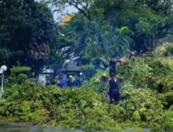 Pohon Tumbang Mengganggu Jalan? Hubungi Nomor 081141100777