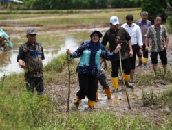 Dinas PU Makassar Alokasikan Rp4 Miliar untuk Perbaikan Jalan di Romang Tangayya