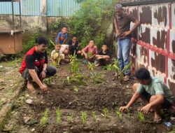 Mahasiswa KKN Unhas Optimalisasi Program Kebun Mini di Desa Pallantikang