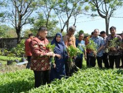 Munafri Tinjau Urban Farming di Tamalate–Wajo