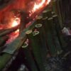Pesta Adat Aklammang di Desa Lantang, Wujud Filosofi Akbulo Sibatang