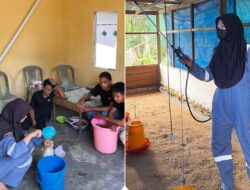Revolusi Kandang Ayam: Mahasiswa Unhas Hadirkan ‘MOL Nasi’, Peternak Matompi Tak Perlu Beli Kimia Mahal Lagi!