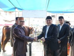 Saksikan Penyembelihan Sapi Kurban dari Presiden, Munafri dan Ketua TP PKK Ucapkan Terima Kasih ke Prabowo