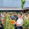Menggembirakan, Kebun Asimilasi dan Edukasi Lapas Kelas I Makassar Panen Tomat