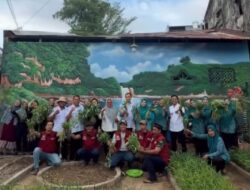 Camat Tamalate Didampingi Ketua TP PKK Panen Kangkung di KWT Pa’rampunganta Mangasa