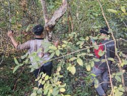 Mahasiswa Fakultas Kehutanan Unhas Pasang Pal Batas di KTH Sancung, Barru