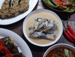 Penelitian dan Pameran Kuliner Ikan Ambu Akan Digelar di Majene, Menuai Dukungan Multisektor