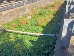 Tindaklanjuti Aduan Lontara+, Satgas Drainase PU Makassar Normalisasi Saluran Kanal