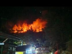Kebakaran Melanda Hutan Pinus Malino, Gowa