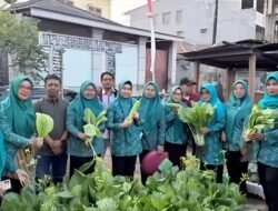 Rini Puspita Aril Kunjungi Kebun Hatinya PKK di Mangasa, Panen Sayur Wujudkan Ketahanan Pangan