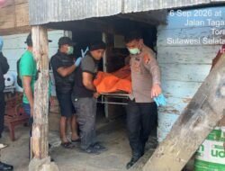 Polres Toraja Utara Ungkap Kasus Penemuan Mayat Ibu dan Bayi di Tallunglipu