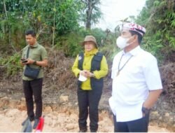 Gubernur Kaltara Tinjau Langsung Pemadaman Karhutla di KM 12 Desa Gunung Sari
