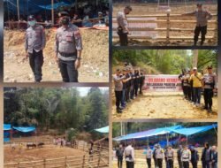 Kawal Tradisi Adat Adu Kerbau , Polres Torut Pasang Spanduk Larang Perjudian