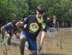 DPW LDII Sulsel Tanam Mangrove di Lantebung