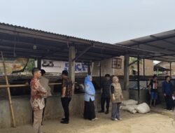LP2M UIN Alauddin Pantau Riset Peternakan Berbasis Teknologi di Kabupaten Takalar