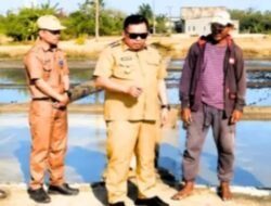 Kunjungi Laikang, Bupati Daeng Manye Tinjau Tambak Garam dan Tanggul Pemecah Ombak: Pembangunan Harus Dirasakan Langsung Masyarakat